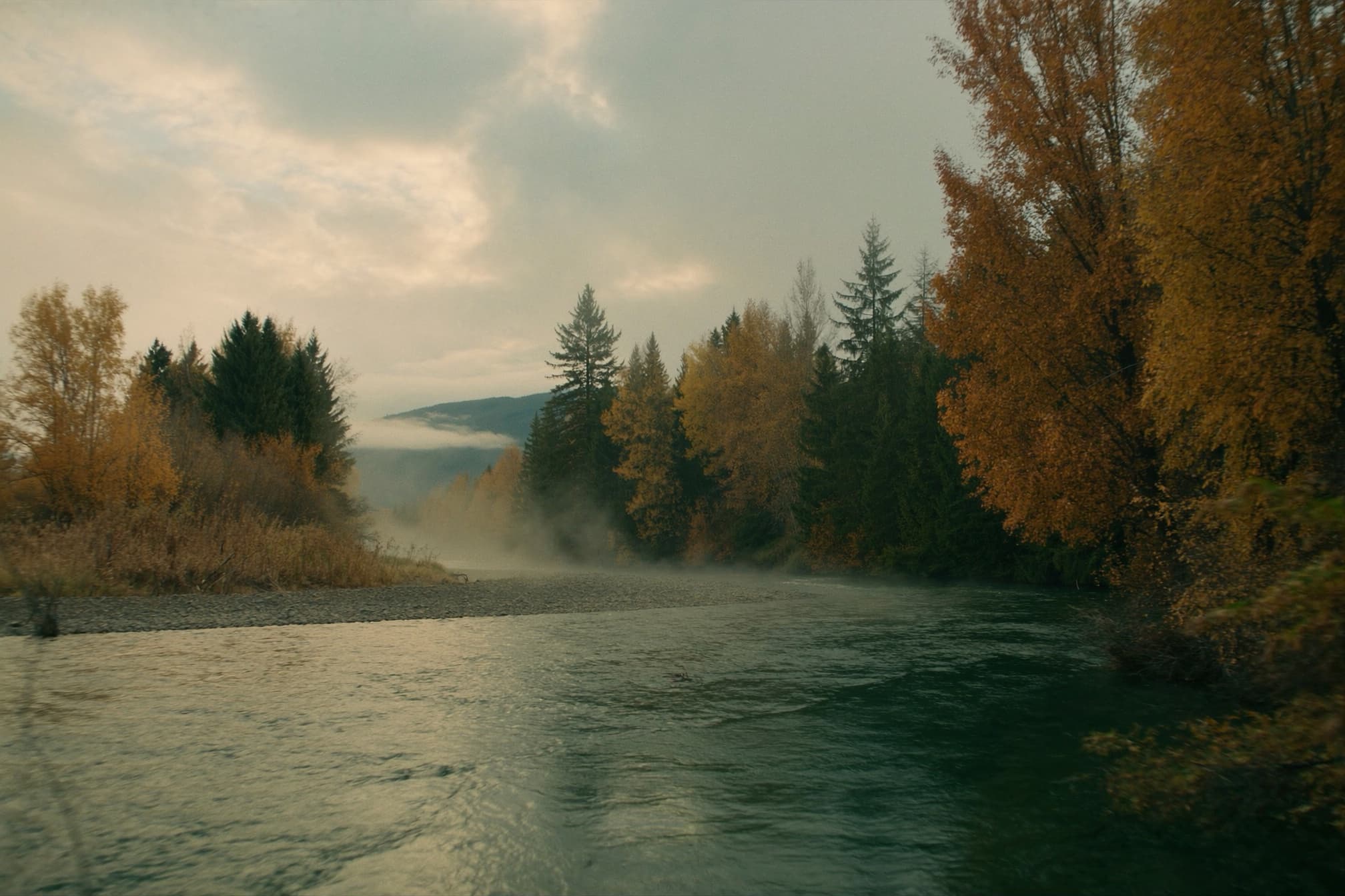 The Cowlitz running cold and clear