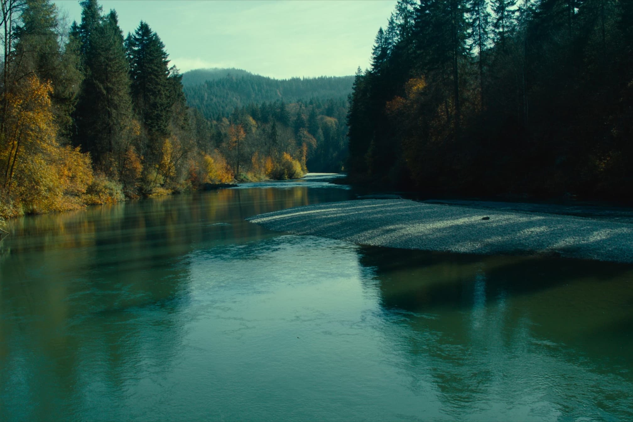 The Cowlitz River with its grey gravel bars